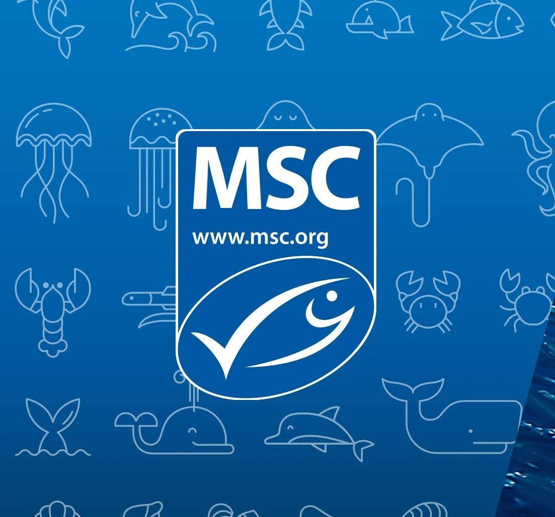 MSC Fisheries Standard Certification Logo